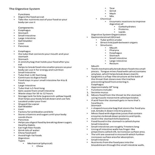 The digestive-system