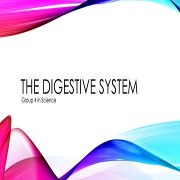 Digestive system - CLASS V | PPTX