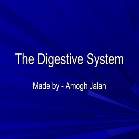 The digestive-system-powerpoint-1227698045024899-8
