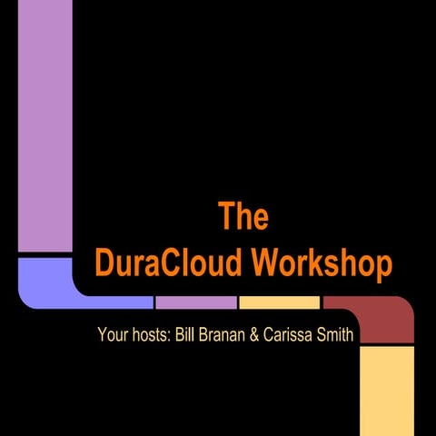 The DuraCloud Workshop - Open Repositories 2015