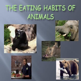 The eating-habits-of-animals-ppt-teeth