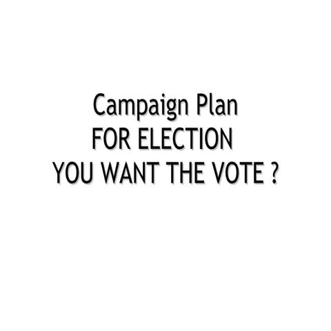 The election campaign strategy
