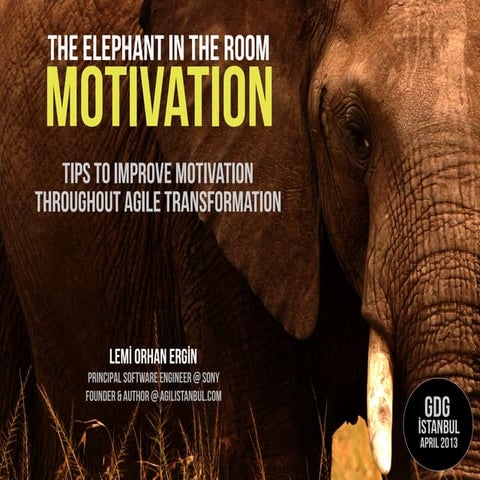The Elephant In The Room: Motivation (2nd revision)