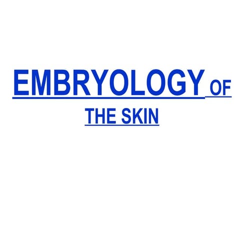 The Embryology Of The Skin