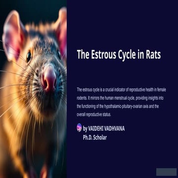 Estrous Cycle in Rats: A Physiological aspect
