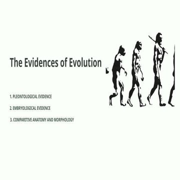 BIOLOGY FLASHCARD for class 12 practical | DOCX