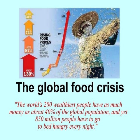 The Global Food Crisis