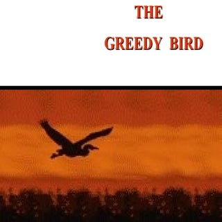 The Greedy Bird