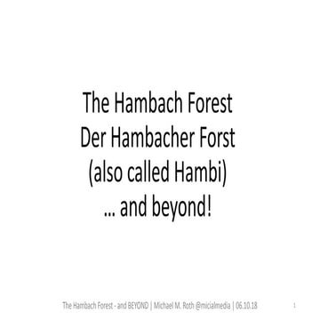 The hambach-forest