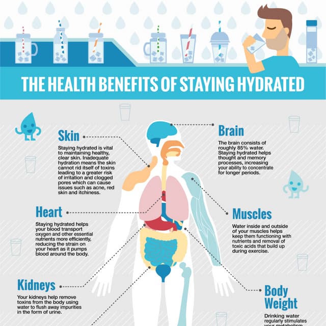 The Health Benefits of Staying Hydrated | PDF
