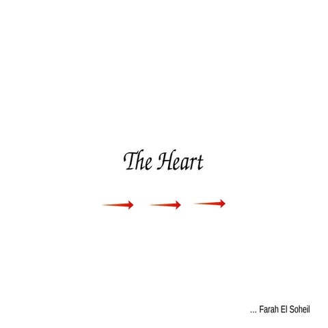 The heart 