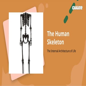 The Human Skeleton: Structure, Function, and Vital Roles Explained | PPTX