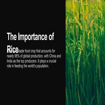 The Tungro Virus: Rice's Invisible Enemy