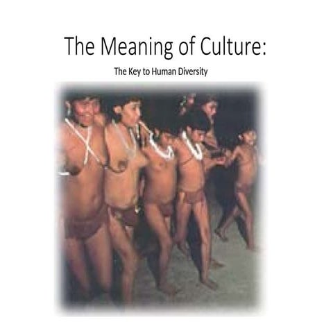 The-Meaning-of-Culture133578949494948.ppt