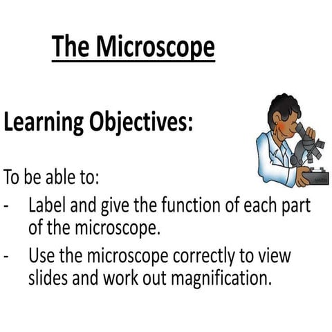 The microscope