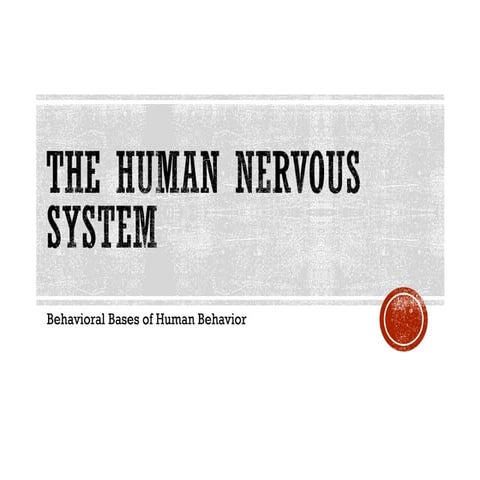 Bio-Psycho Foundation of Education: The Human nervous system