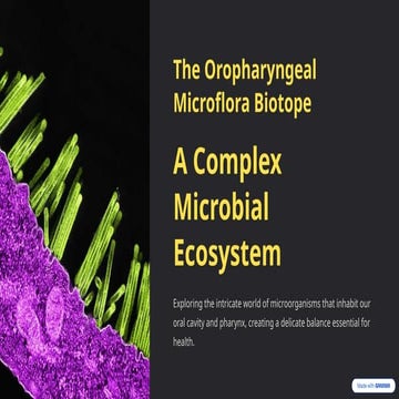 The-Oropharyngeal-Microflora-Biotope.pptx