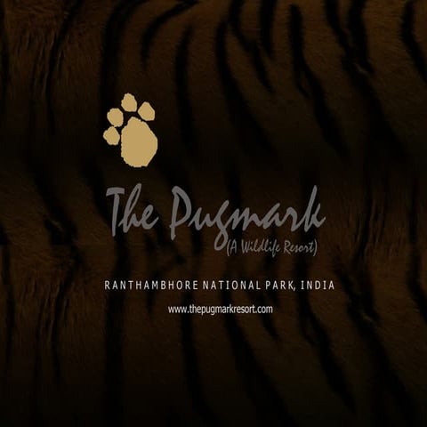 The Pugmark | PPS
