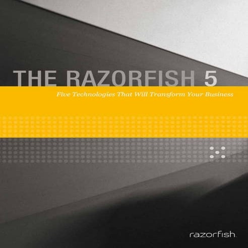 The razorfish5 report 2011
