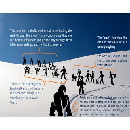 The  real- wolfpack story 2