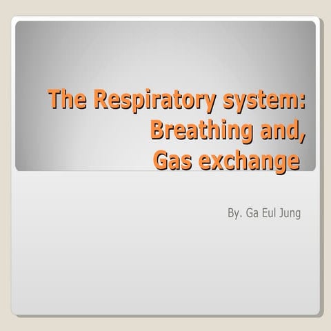 The Respiratory System