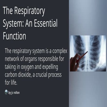 The-Respiratory-System-An-Essential-Function.pptx