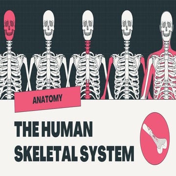 The-Human skeletal system topic to discuss