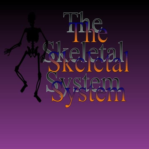 The Skeletal System