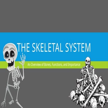 The-Skeletal-System_Nesperos-2-27-25.pptx