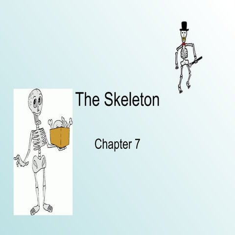 The Skeleton   Chapter 7