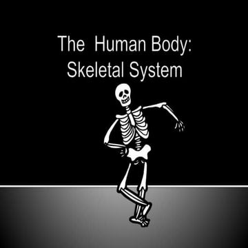 Skeletal System with Description and explanation