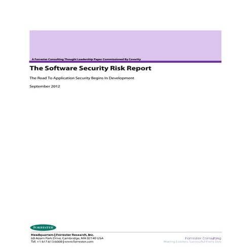 The software-security-risk-report