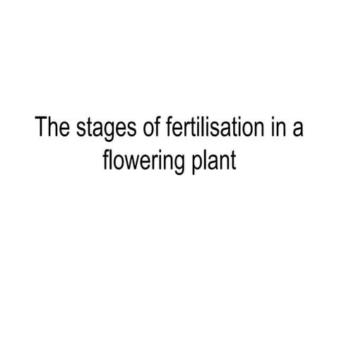 The stages-of-fertilisation-in-a-flowering-plant