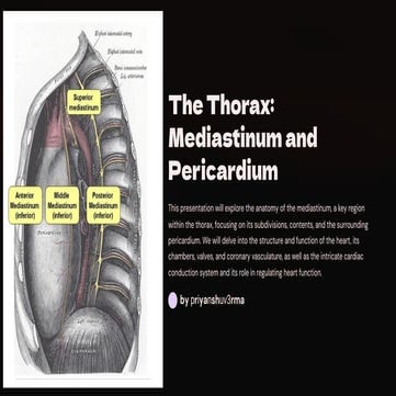 The-Thorax-Mediastinum-and-Pericardium-Copy.pdf