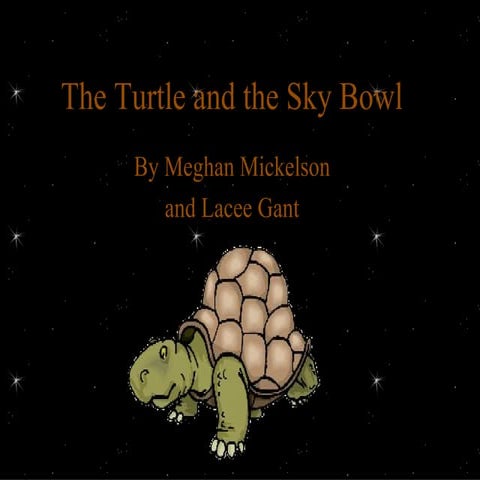 The Turtle and the Sky Bowl