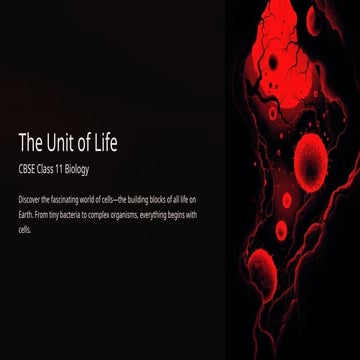 The-Cell-Basic-Unit-of-Life (1) anatomy and physiology | PPTX