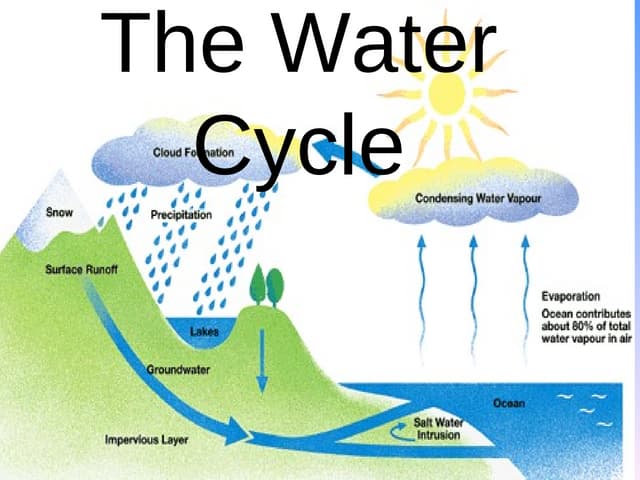 The Water Cycle