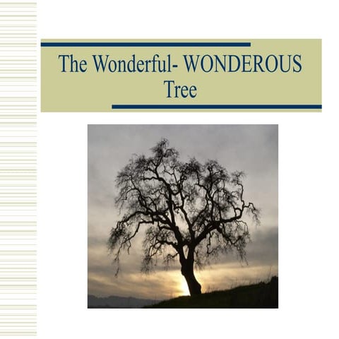 The Wonderful  Wonderous Tree
