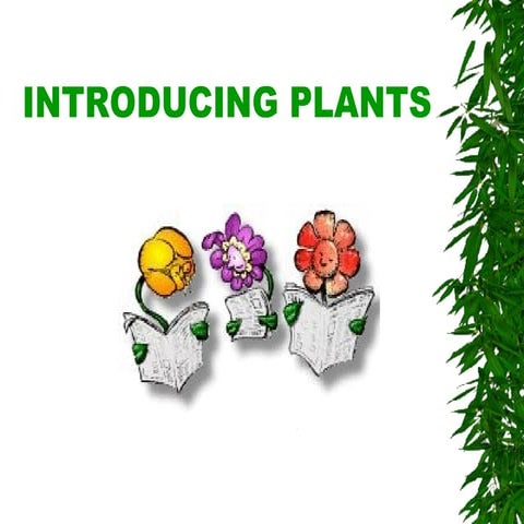 The World Of Plants Std Grade