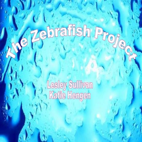 The+ Zebrafish+ Project