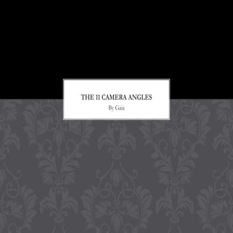 The 11 camera angles