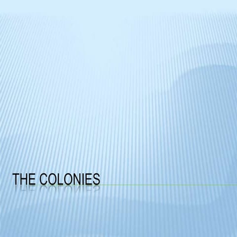 The 13 colonies