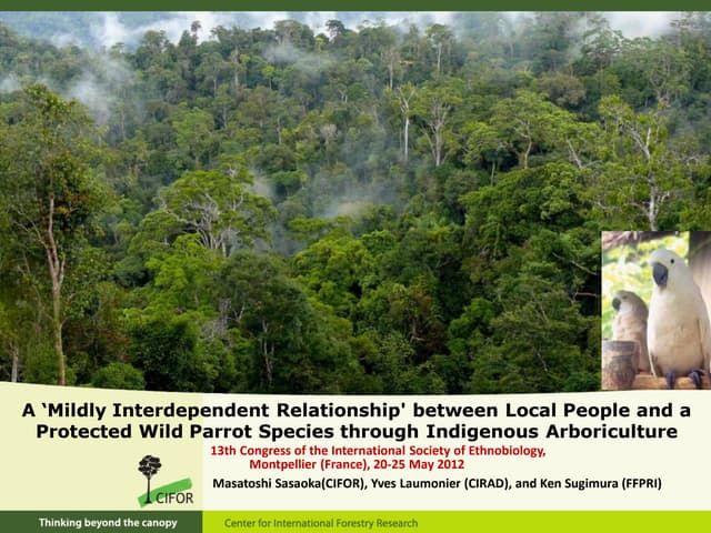 A ‘Mildly Interdependent Relationship' between Local People  and a Protected Wild Parrot Species through Indigenous Arboriculture