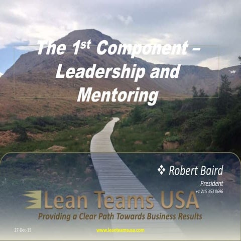 The 1st component - Leadership and Mentoring