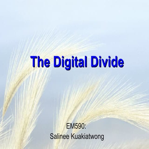 The%20 Digital%20 Divide Sanny