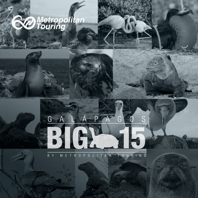 Galapagos Big 15