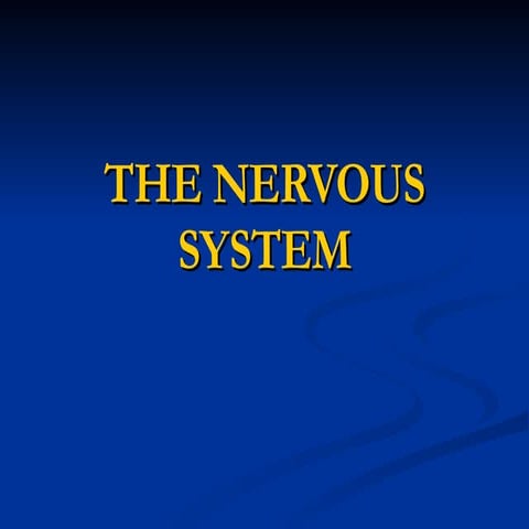 Nervous System