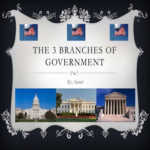 The Three Branches of Government by Anand