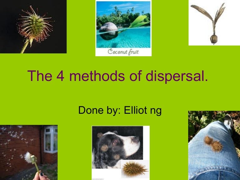 The 4 methods_of_dispersal[1]elliot ng