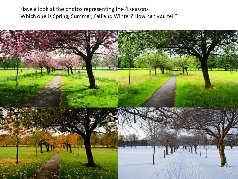 The 4 seasons